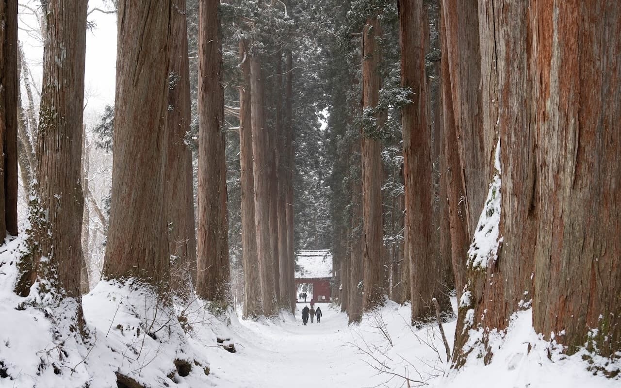 戸隠神社